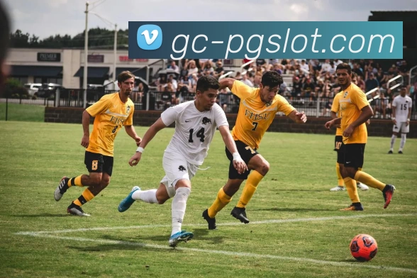 PG电子娱乐官网平台生态图